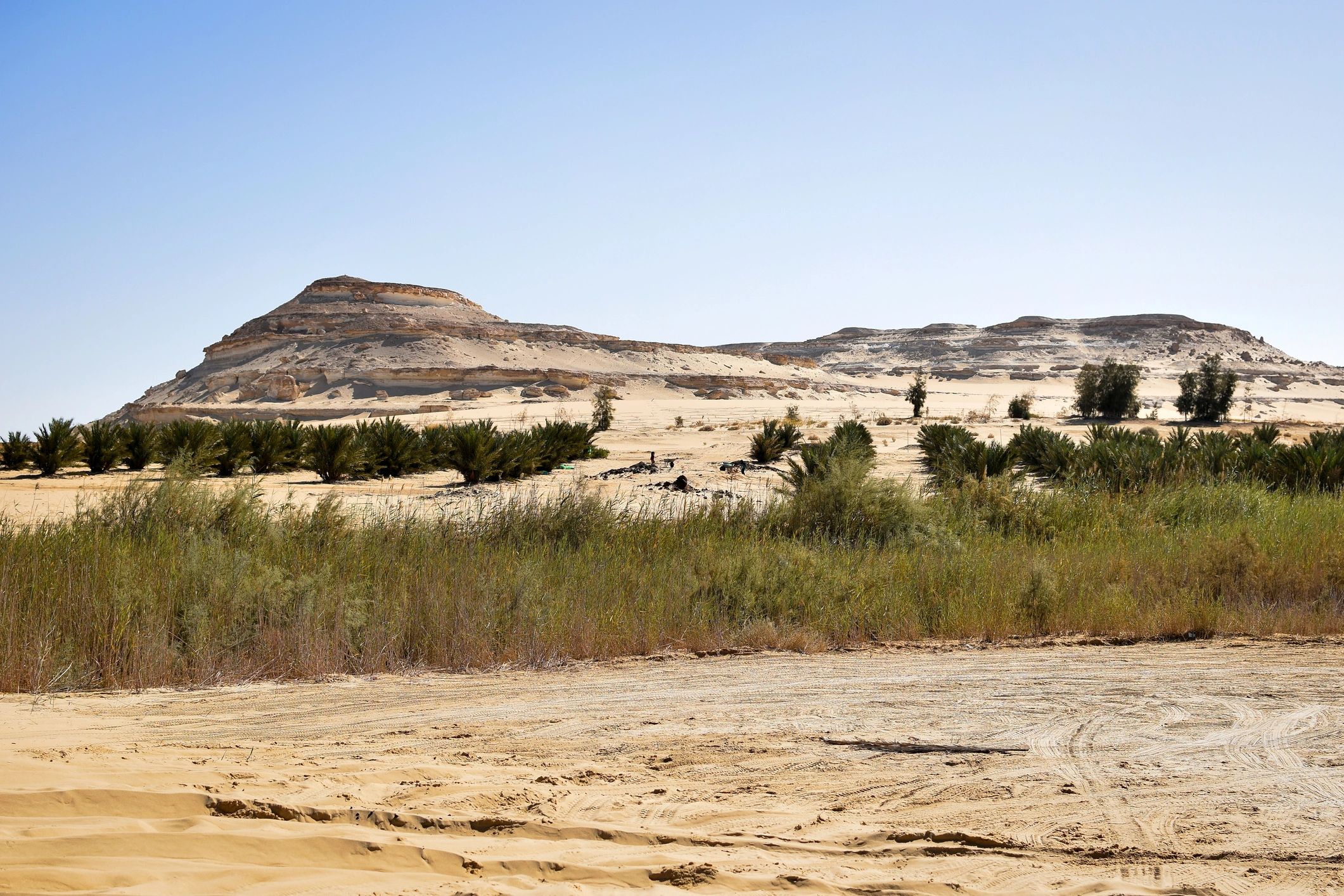 Stone hills and date orchards in the Sahara desert