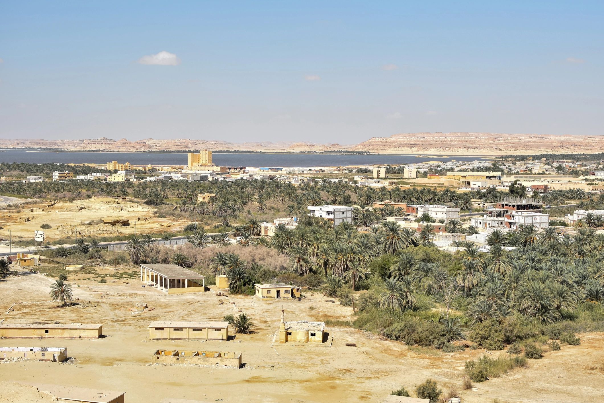 Siwa oasis landscape with palms and desert beyond