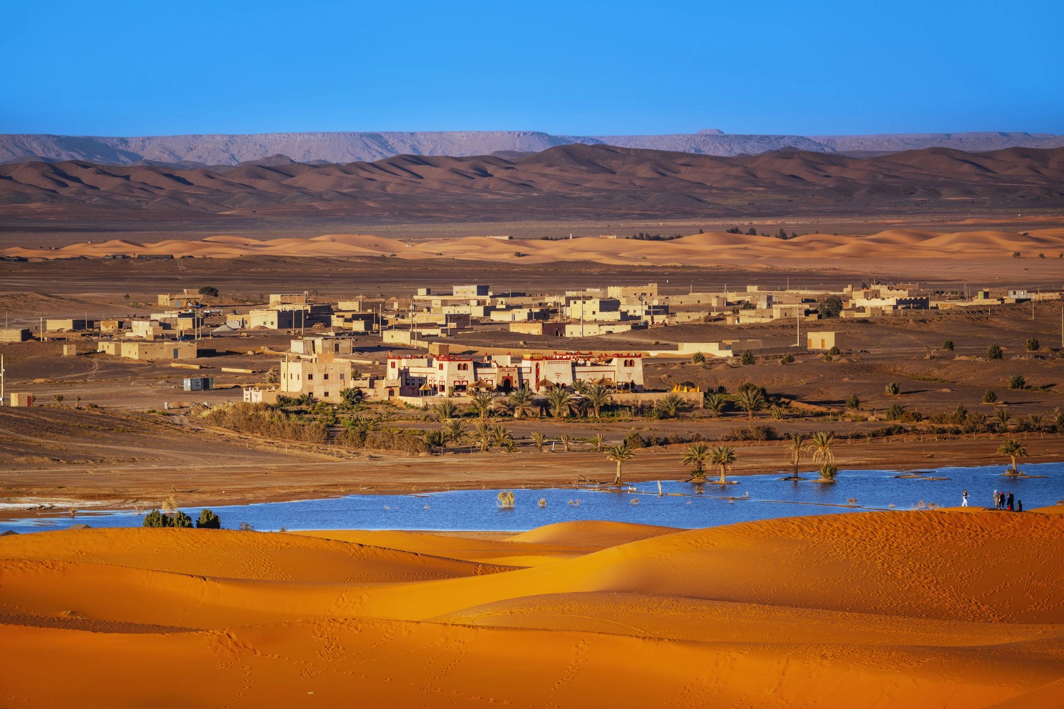 Desert dunes and oasis landscape