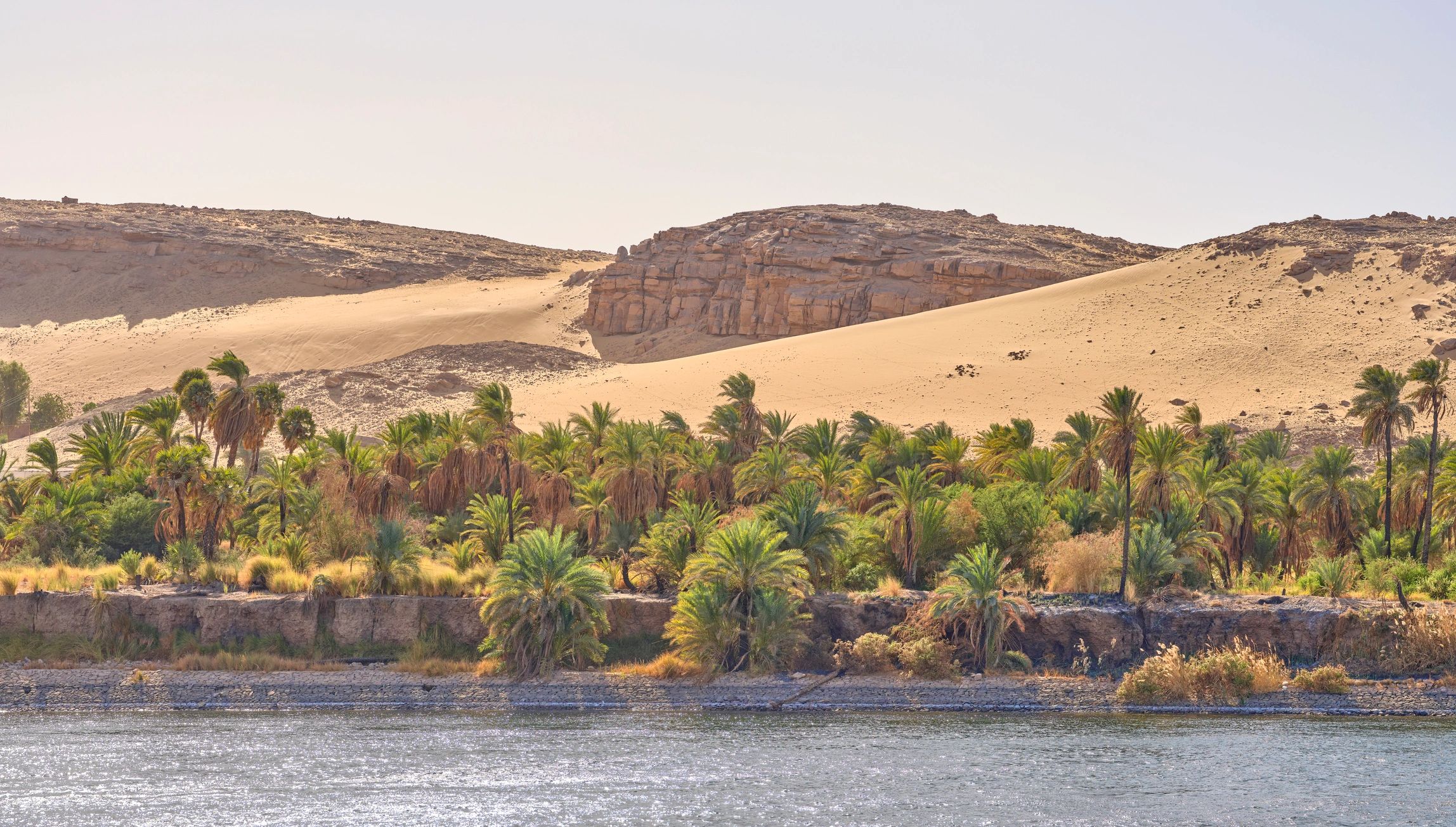 Palm oasis and sandy dunes along the Nile River in Egypt