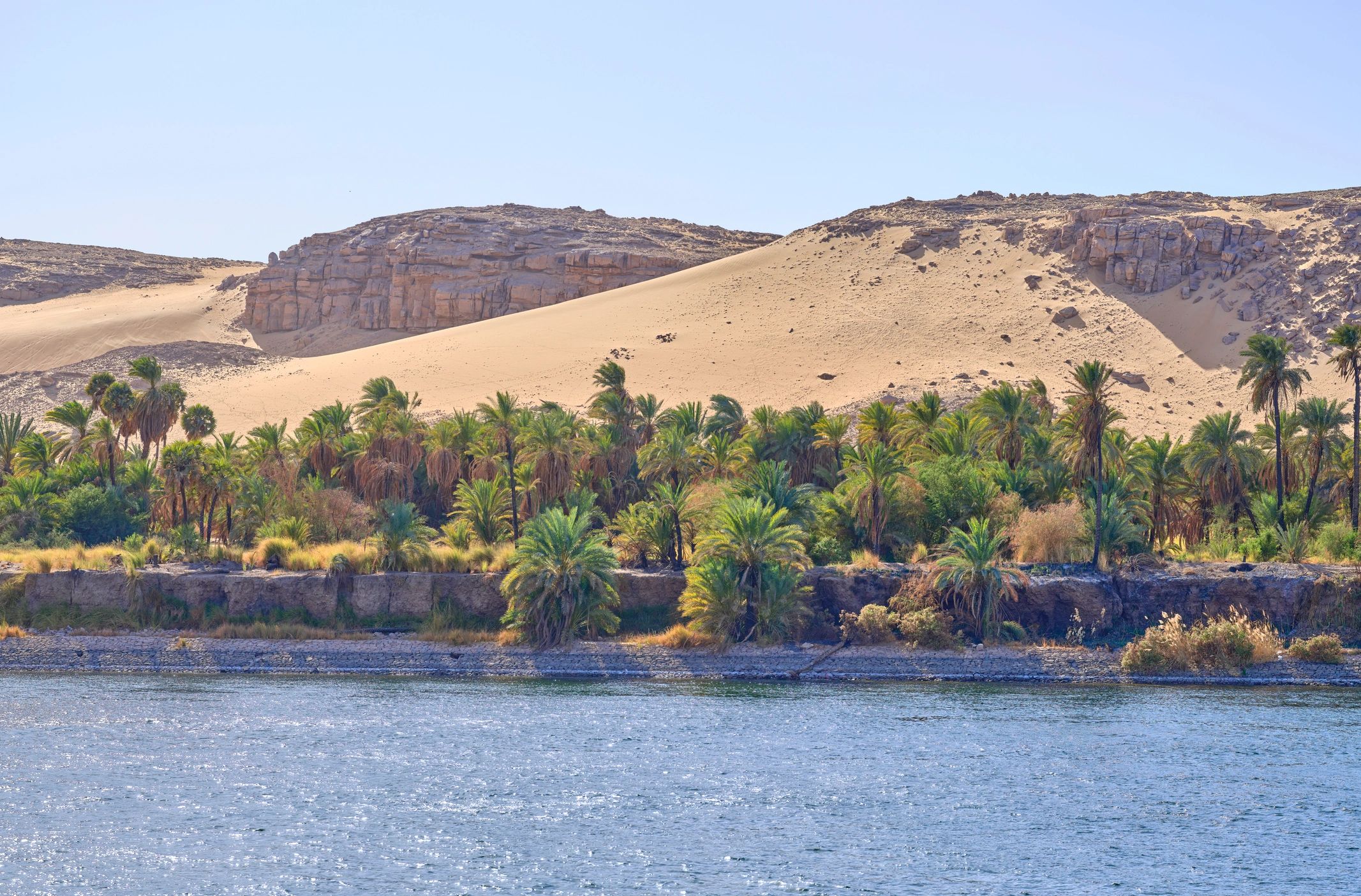 Palm oasis along the Nile with sand dunes and cliffs