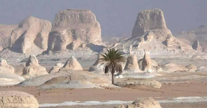 Retreat planning in Egypt